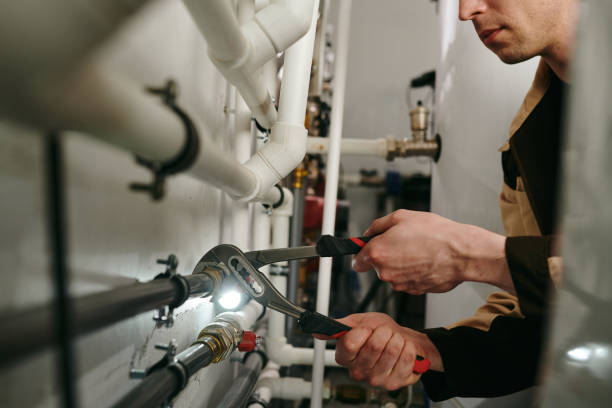 Best Plumbing Services Near Me  in Fredericktown, MO